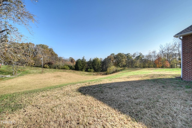 115 Rb Miller Rd, Limestone, TN 37681 - view of yard
