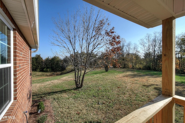 115 Rb Miller Rd, Limestone, TN 37681 - view of yard