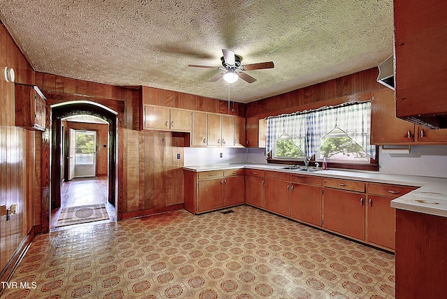 kitchen featuring wooden walls, a ceiling fan, and a healthy amount of sunlight