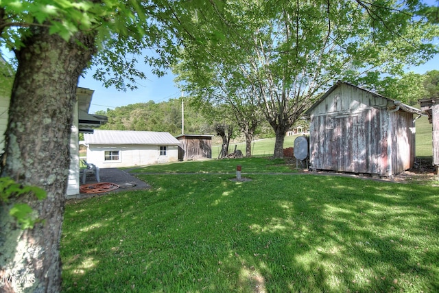 view of yard with an outdoor structure and a storage unit