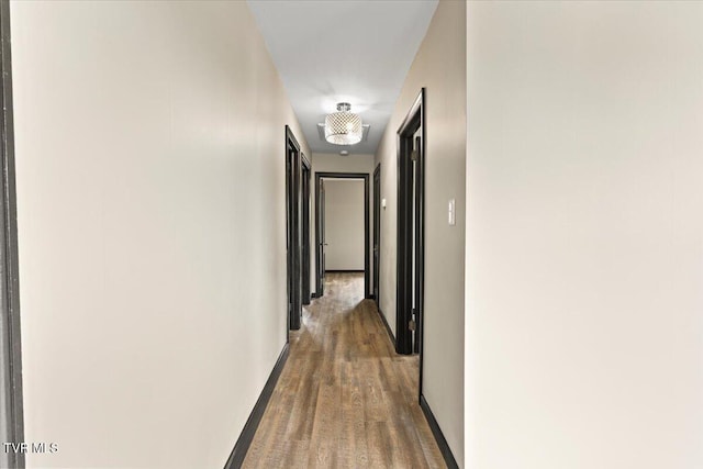 corridor with wood finished floors