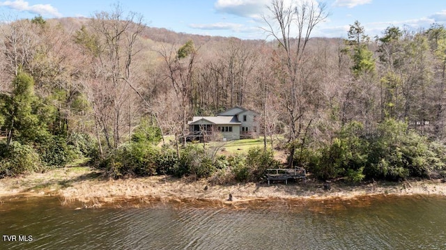 342 Ripshin Lake Rd, Roan Mountain, TN 37687 - bird's eye view with a water view and a wooded view