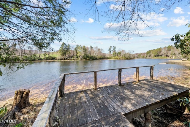 342 Ripshin Lake Rd, Roan Mountain, TN 37687 - dock area featuring a water view