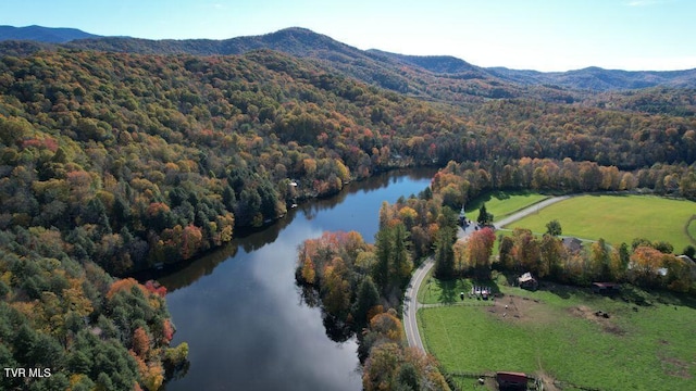 342 Ripshin Lake Rd, Roan Mountain, TN 37687 - drone / aerial view featuring a water and mountain view, a rural view, and a wooded view