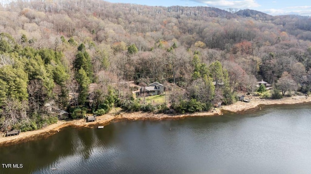 342 Ripshin Lake Rd, Roan Mountain, TN 37687 - drone / aerial view with a water view and a forest view
