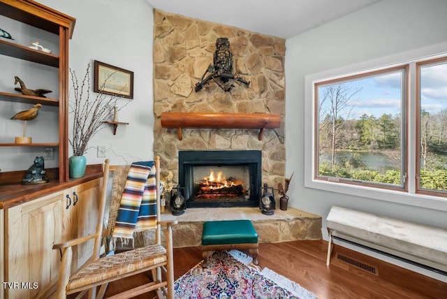 342 Ripshin Lake Rd, Roan Mountain, TN 37687 - living area featuring wood finished floors, a stone fireplace, and visible vents