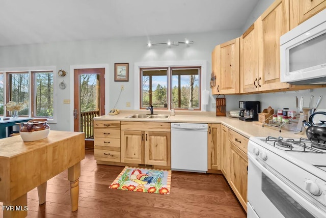 342 Ripshin Lake Rd, Roan Mountain, TN 37687 - kitchen with a sink, light brown cabinets, and white appliances