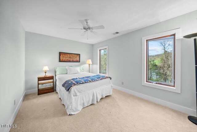 342 Ripshin Lake Rd, Roan Mountain, TN 37687 - bedroom featuring baseboards, carpet, and visible vents