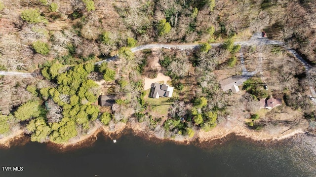 342 Ripshin Lake Rd, Roan Mountain, TN 37687 - drone / aerial view
