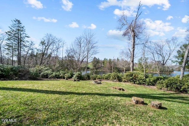 342 Ripshin Lake Rd, Roan Mountain, TN 37687 - view of yard featuring a water view and a fire pit