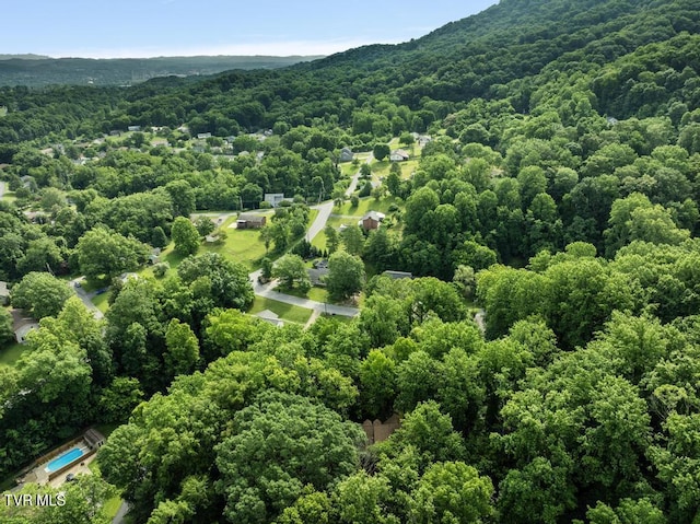1008 Cox Trail Pl, Kingsport, TN 37660 - bird's eye view of a forest and mountains