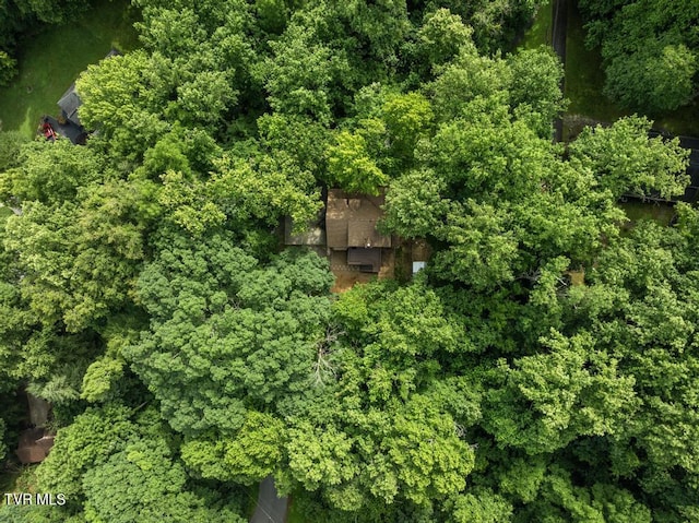 1008 Cox Trail Pl, Kingsport, TN 37660 - view of property location