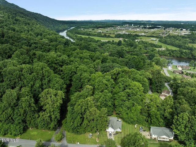 1008 Cox Trail Pl, Kingsport, TN 37660 - view of property location with a nearby body of water and a heavily wooded area
