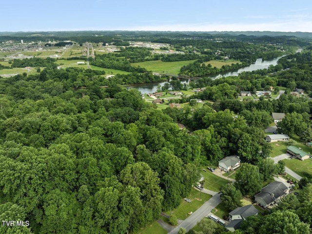 1008 Cox Trail Pl, Kingsport, TN 37660 - view of property location featuring a nearby body of water and a heavily wooded area