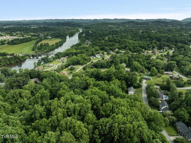 1008 Cox Trail Pl, Kingsport, TN 37660 - aerial view of a water and mountain view and a forest