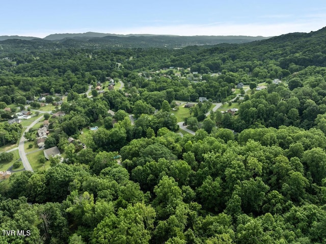 1008 Cox Trail Pl, Kingsport, TN 37660 - aerial view of a forest and a mountainous background