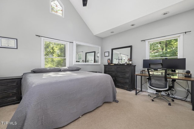 1008 Cox Trail Pl, Kingsport, TN 37660 - carpeted bedroom featuring high vaulted ceiling and a desk