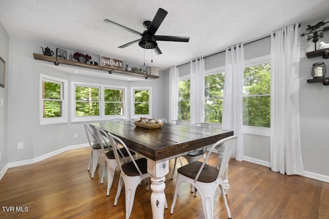 1008 Cox Trail Pl, Kingsport, TN 37660 - dining area with a textured ceiling, wood finished floors, and ceiling fan