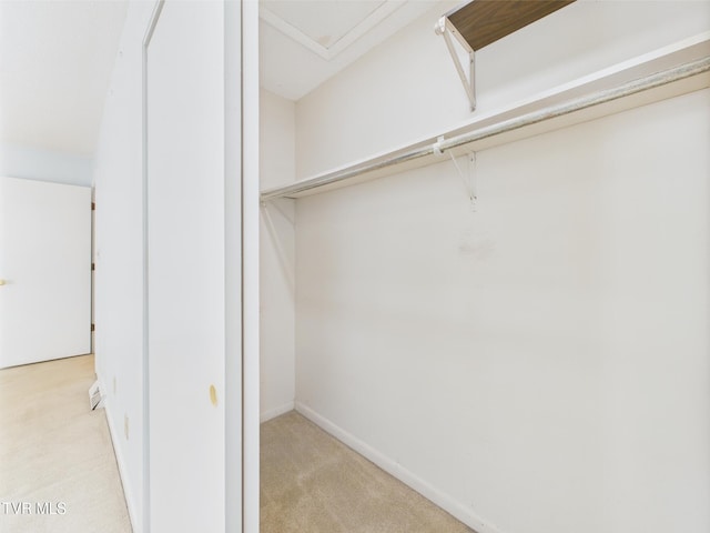 view of closet