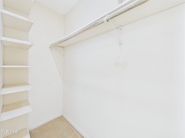 spacious closet with light carpet