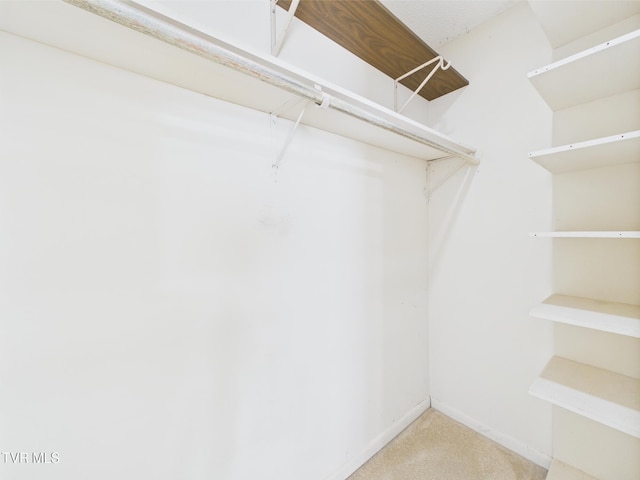 spacious closet with carpet floors