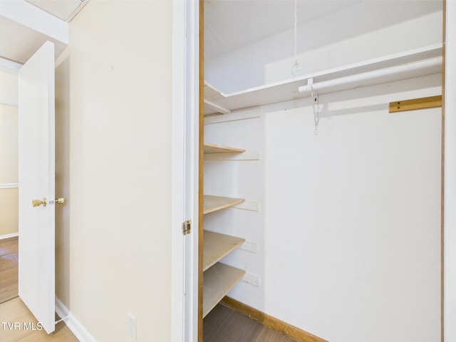 view of closet