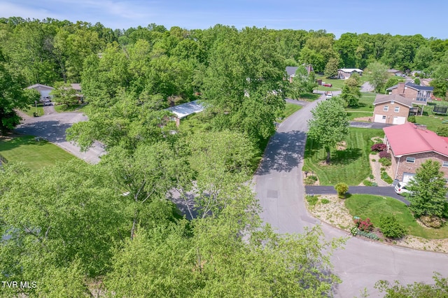 bird's eye view