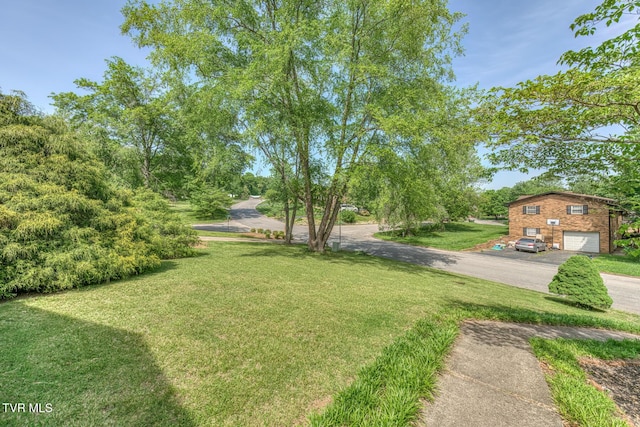 view of yard with driveway and a garage