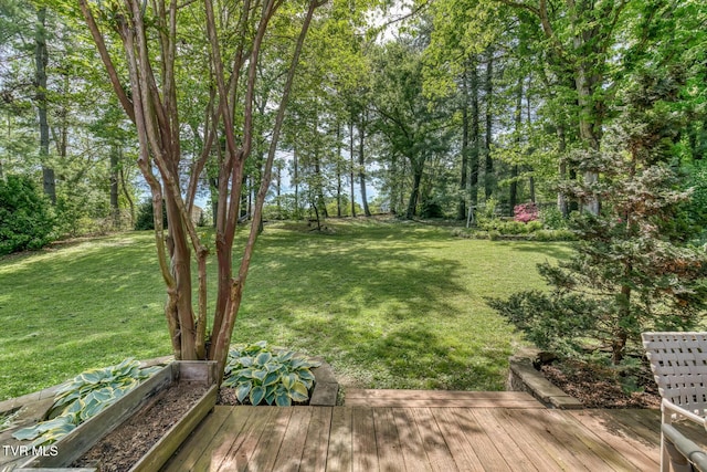 view of yard with a deck