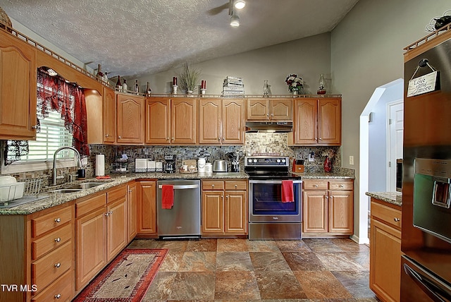 kitchen with appliances with stainless steel finishes, a sink, decorative backsplash, under cabinet range hood, and vaulted ceiling