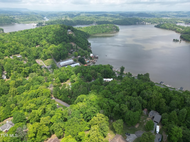 114 Windyhill Dr, Johnson City, TN 37615 - photo 4