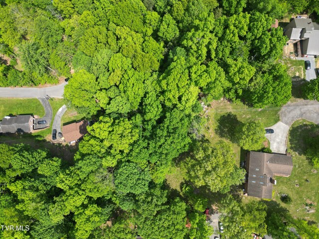 114 Windyhill Dr, Johnson City, TN 37615 - photo 6