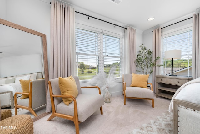 sitting room featuring carpet floors