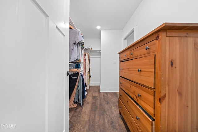 walk in closet featuring dark wood-type flooring