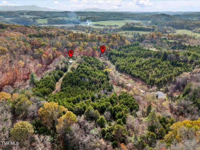 1200 Jackson Hollow Rd, Mosheim, TN 37818 - aerial view with a mountain view and a forest view