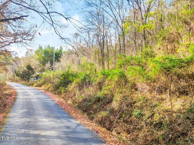 1200 Jackson Hollow Rd, Mosheim, TN 37818 - view of road featuring a wooded view