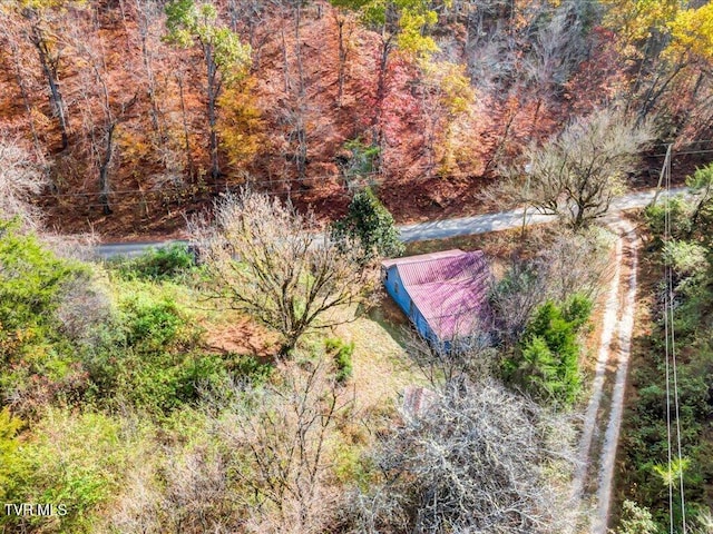 1200 Jackson Hollow Rd, Mosheim, TN 37818 - drone / aerial view