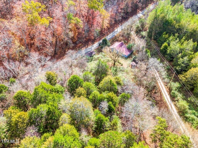 1200 Jackson Hollow Rd, Mosheim, TN 37818 - drone / aerial view