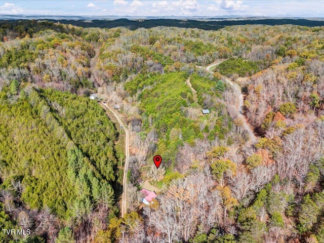 1200 Jackson Hollow Rd, Mosheim, TN 37818 - bird's eye view with a wooded view