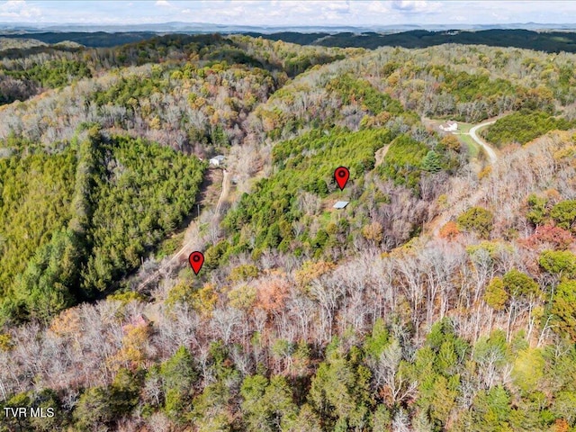 1200 Jackson Hollow Rd, Mosheim, TN 37818 - aerial view with a forest view