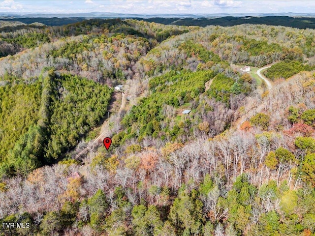 1200 Jackson Hollow Rd, Mosheim, TN 37818 - aerial view with a view of trees