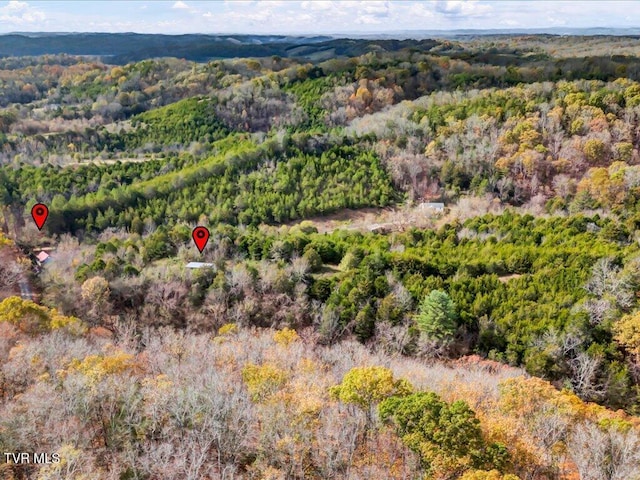 1200 Jackson Hollow Rd, Mosheim, TN 37818 - drone / aerial view featuring a forest view