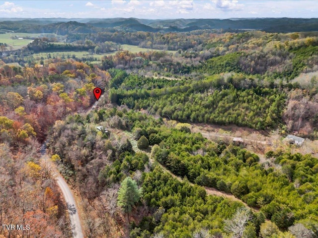 1200 Jackson Hollow Rd, Mosheim, TN 37818 - bird's eye view featuring a mountain view and a forest view
