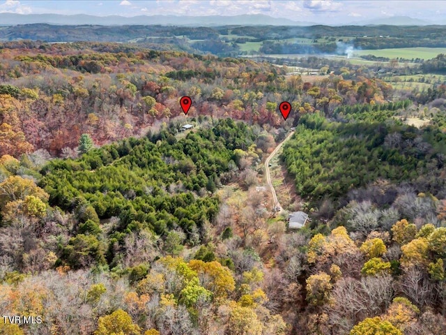 1200 Jackson Hollow Rd, Mosheim, TN 37818 - birds eye view of property featuring a forest view
