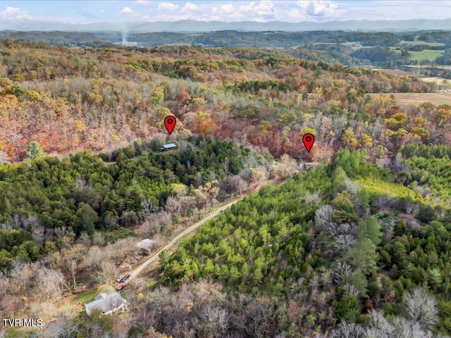 1200 Jackson Hollow Rd, Mosheim, TN 37818 - aerial view with a wooded view