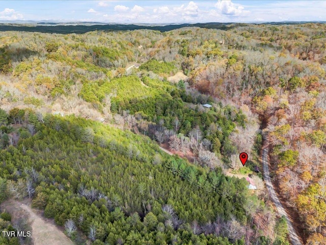 1200 Jackson Hollow Rd, Mosheim, TN 37818 - bird's eye view with a view of trees