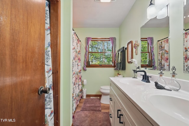 368 Burbank Rd, Roan Mountain, TN 37687 - full bath with double vanity, wood finished floors, a sink, baseboards, and toilet
