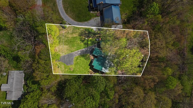 368 Burbank Rd, Roan Mountain, TN 37687 - bird's eye view