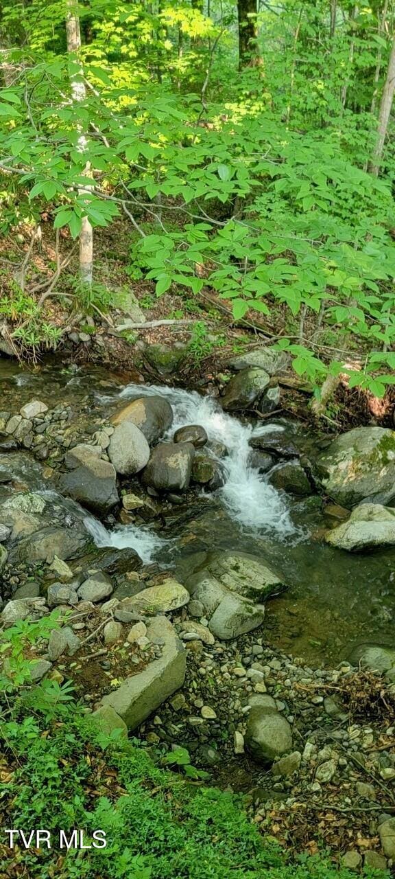 368 Burbank Rd, Roan Mountain, TN 37687 - view of local wilderness
