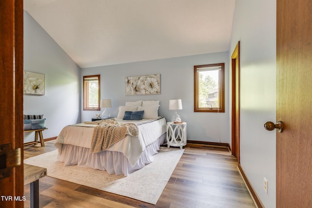 100 Periwinkle Pl Unit 100, Kingsport, TN 37660 - bedroom featuring multiple windows, baseboards, wood finished floors, and high vaulted ceiling